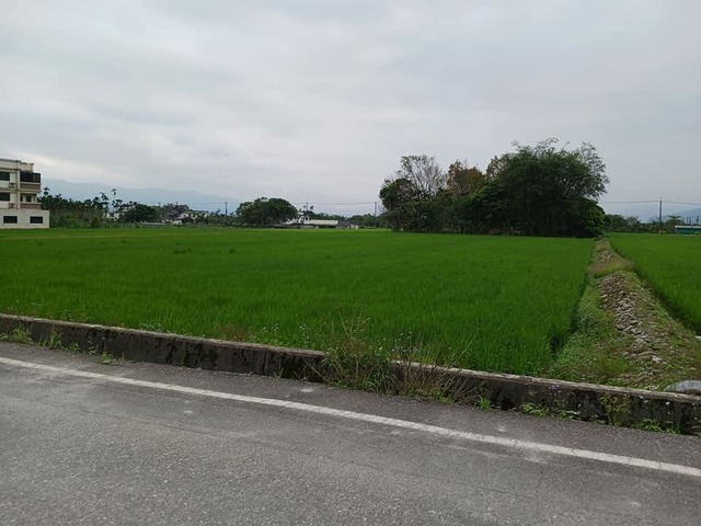 花蓮鳳林方正農地