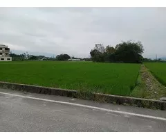花蓮鳳林方正農地