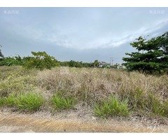 歸仁北段4.38分農地 0908-040999
