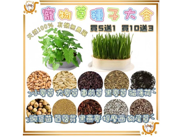 蝦不可失 寵毛孩盆栽組TOP5