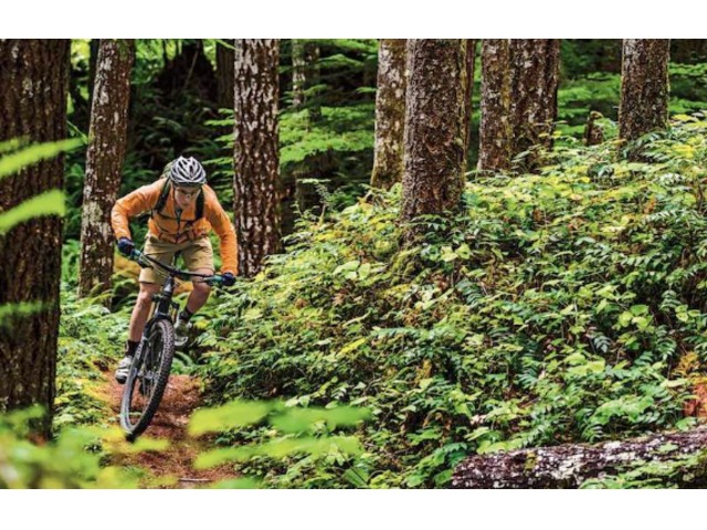 Patagonia山地單車系列保護全面舒適自在