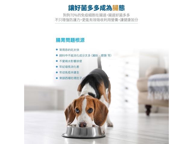 蝦不可失 寵寶益生菌保健