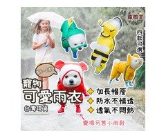 蝦不可失 狗狗雨衣時尚展