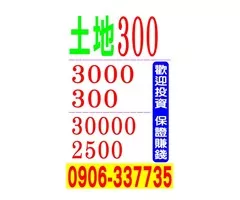 土地300坪