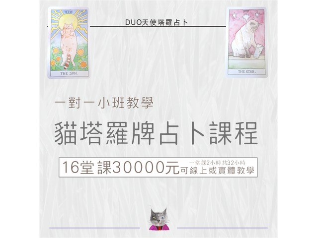 貓塔羅牌占卜課程一對一小班教學 可線上或實體教學16堂課30000元