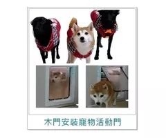 【清品 窗簾|鋼鋁門窗|居家宅修】台南市永康 |門窗|寵物門 |寵物活動門 |木門安裝寵物門 |貓門犬門
