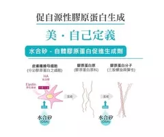高效美學保健養身術華莘生醫 Top5