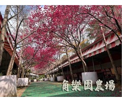 【桃園】幾人小酌，百人狂歡就在角樂園農場！