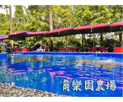 【桃園】人少歡樂自在，百人共飲更海，角樂園農場歡迎您！