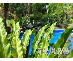 【桃園】綠意環繞，清涼戲水烤肉－角樂園農場！