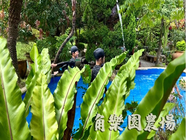 【桃園】綠意環繞，清涼戲水烤肉－角樂園農場！
