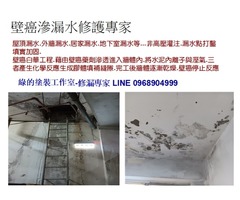 綠的塗裝工作室-壁癌滲漏水修護專家