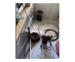 流理台水管阻塞板橋區 通水管阻塞浴室水管不通/流理台水管阻塞
