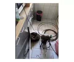 流理台水管阻塞板橋區 通水管阻塞浴室水管不通/流理台水管阻塞
