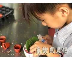 【桃園】創意烤肉親子來聚角樂園！