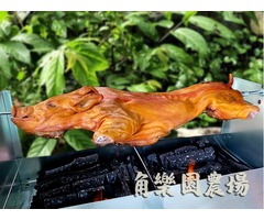 【桃園】外酥裡嫩專業烤小豬在角樂園！