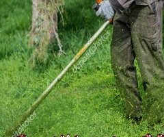 【高雄修剪樹木枝,鋸樹費用高雄】