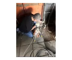板橋區通水管 快速宅修 廚房洗手台阻塞~流理台不通