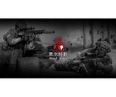 特勤保全推薦品牌- BLACK WATER SECURITY黑水特勤保全-林口保全公司推薦  