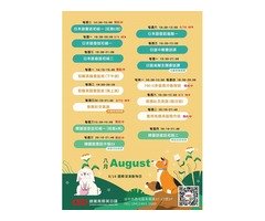 CEO外語 - 8月課表來襲