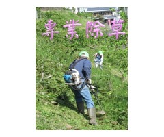 【台南修剪樹木】-【台南修剪樹木】