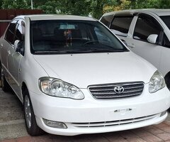 售Toyota,豐田,Altis,1.8L,白色,黑色內裝,黑色皮椅,省油,省稅金,超便宜代步車